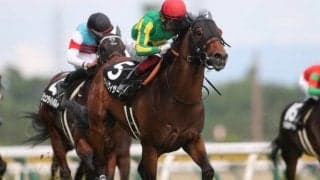 【関越S結果】サトノウィザードが大外からまとめて差し切る