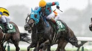 【クイーンS結果】テルツェットが直線一気で差し切りV！重賞2勝目