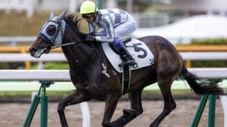 【新馬/函館5R】武豊 ロンがデビュー戦を快勝