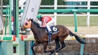 ダート重賞のエルムSとレパードS/今週の競馬界の見どころ