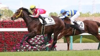 【エルムS登録馬】アメリカンシードなど20頭が登録