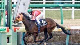 【エルムS見どころ】アメリカンシードの重賞初制覇なるか