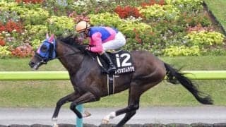 【レパードS見どころ】前走圧勝のメイショウムラクモが連勝を狙う