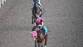 祖母はアイルランド重賞2勝リブーストが川田将雅騎手でデビュー/関西馬メイクデビュー情報