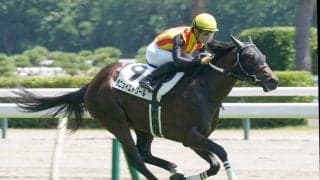 【新馬/新潟5R】ノヴェリスト産駒 ラニュイエトワールがデビューV