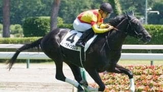 【新馬/新潟6R】ドゥラメンテ産駒 ジャスティンヴェルが5馬身差圧勝