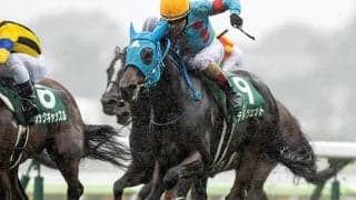 これぞ「血統の成せる業」　GI馬半姉の母から良血継ぐテルツェット