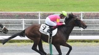 【レパードS想定騎手】キャリアリズムは福永祐一騎手、メイショウムラクモは柴田善臣騎手