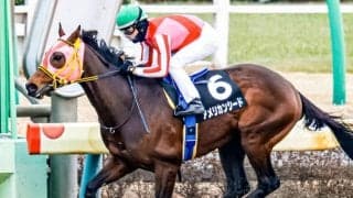 【エルムS予想】ダート界期待の怪物はケイティブレイブら実績馬に引導を渡せるか AIのジャッジは？/JRA重賞レース展望