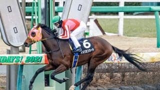 【エルムS想定騎手】アメリカンシードはC.ルメール騎手、ソリストサンダーは戸崎圭太騎手