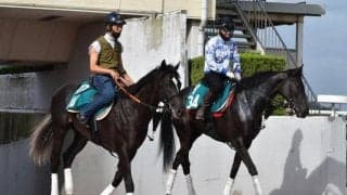 サンライズロナウドなど、先週のゲート試験/栗東トレセンニュース