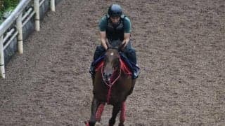 モズスーパーフレアなど、先週の入厩情報/栗東トレセンニュース