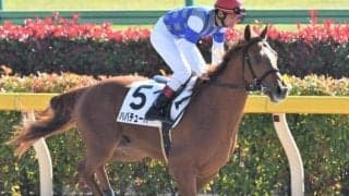 【門別競馬情報】早くも後半戦スタートの門別ナイター！開催40日間を終え、発売額は昨年同時点の上行く249億円余。今夜メイン12Rは「安平町ポッポらんど開園記念特別」/地方競馬情報