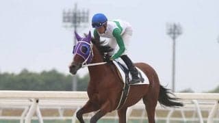 “7歳デビュー馬”と”10歳未勝利馬”が対決！ 最後のトウカイテイオー産駒、初勝利なるか？