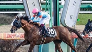 【先週のJRA抹消馬】ベストウィッシュCを制したクレッセントムーン、ハヤブサペコムスメなど