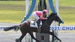 【レパードS予想オッズ】キャリアリズムが予想1番人気も上位人気は混戦