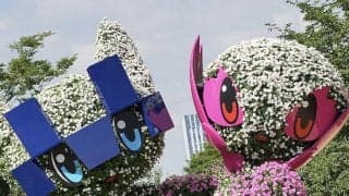 猛暑でも美しく咲く「花の最新テクノロジー」を世界に発信