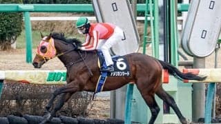 【エルムS予想オッズ】アメリカンシードが単勝2.2倍で予想1番人気に