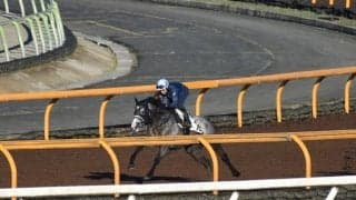 クリスティ、関屋記念1週前追い切り速報/栗東トレセンニュース