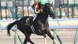 【関屋記念想定】NHKマイルC2着ソングライン、中京記念覇者アンドラステなど