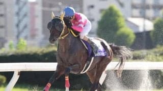 【名古屋・湾岸スターC結果】スプリングメドウが押し切り断然の人気に応える