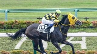 【AI予想】抽選を突破すれば…レパードSで狙うべきは“前走1勝クラス組”