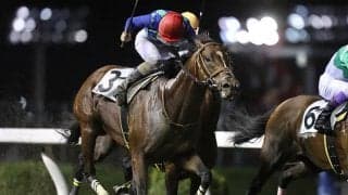 【マイルグランプリ】グレンツェントは本田正重騎手に乗り替わり　森泰斗騎手疾病のため