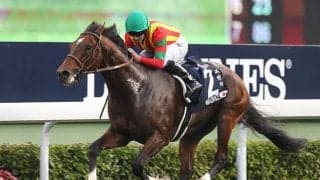 豪20/21年シーズンが終了　新種牡馬ランキングにはモーリスも