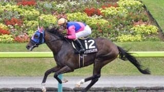 【レパードS】出馬確定　メイショウムラクモ＆柴田善臣、オセアダイナスティ＆川田将雅など15頭