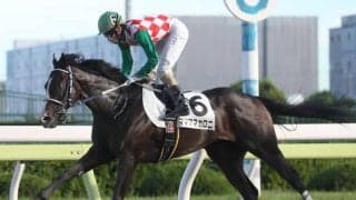 【大井・フレッシュスター特別結果】矢野貴之騎手騎乗のママママカロニ断然人気に応え勝利