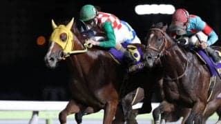 【大井・マイルグランプリ結果】浦和のティーズダンクが叩き合いを制す！重賞3勝目