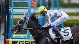 【武豊日記】将来的にも楽しめる馬