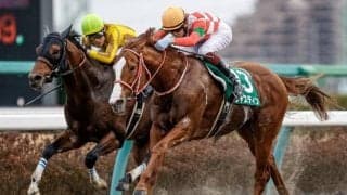 【盛岡・クラスターC枠順確定】ジャスティンは3枠4番、リュウノユキナは5枠8番