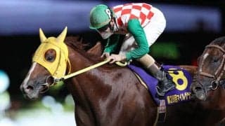 【大井・マイルグランプリ】売上は前年比80.6%の6億6037万4700円