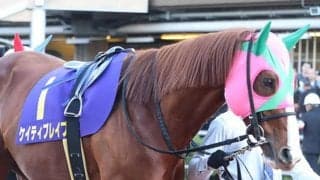 【エルムS】ダート王ケイティブレイブ復活なるか　転厩初戦＆1年以上の休み明け