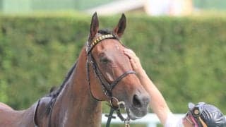 【関屋記念想定】アンドラステは岩田望来騎手、ソングラインは池添謙一騎手