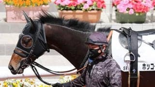 【レパードS】ホッコーハナミチは重賞初制覇を狙う　この1戦から父の活躍に続けるか