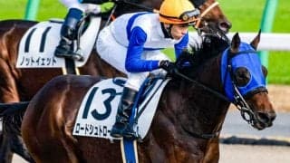 【レパードS予想】「超優秀なJDD組だから信頼」にちょっと待った！ 人気なら消しも/JRAレース展望 