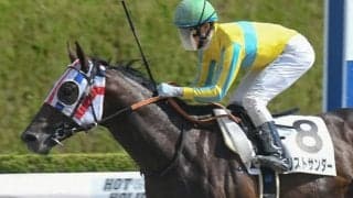 【エルムS予想】舞台適性高い人気馬でも危険！ リカバリーできないマイナス条件/JRAレース展望 