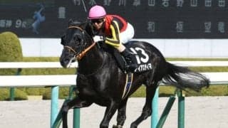 【本日の注目ポイント】函館で札幌日経オープン、新潟で2歳OP・ダリア賞