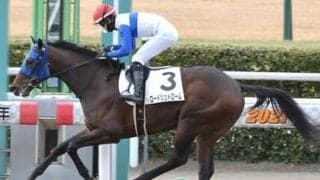 レパードＳは直近の戦績に惑わされるな。穴党記者が推す人気の盲点となる３頭