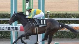 エルムＳは、ダート1700ｍが得意な６歳馬２頭に注目。血統からも好走の予感