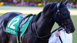 【エルムS予想】札幌→函館はこの馬に有利 スピード持続力が生きる1700mは理想的/JRA重賞レース展望