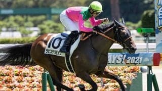 【新潟4R・3歳未勝利】3連単1000万馬券！藤田菜七子騎手が大波乱演出