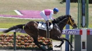 【新潟6R新馬戦結果】7番人気ビヨンドザファザーが突き抜けて圧勝