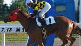 【門別・フルールC】牝馬限定の2歳重賞、2戦2勝アマクミナイデヨは4枠4番/地方競馬枠順