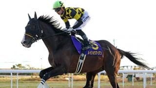 【門別・エトワール賞】11歳メイショウアイアンは3枠3番、9歳ニットウスバルは5枠5番/地方競馬枠順