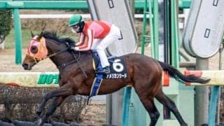 【エルムS前日オッズ】アメリカンシードが3.1倍で1番人気