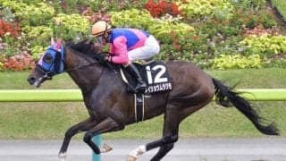 【レパードS前日オッズ】メイショウムラクモが3.6倍で1番人気