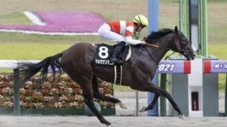【万哲の馬場予報】乾いた馬場ならやはり前に行く馬か？